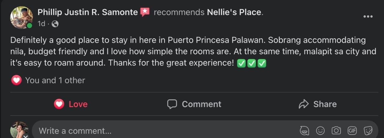 Nellie'S Place Puerto Princesa Екстериор снимка